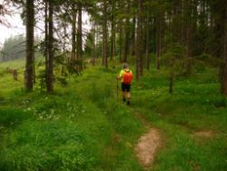 2013-06-23_Sonnenspitz_Jochberg (211).JPG